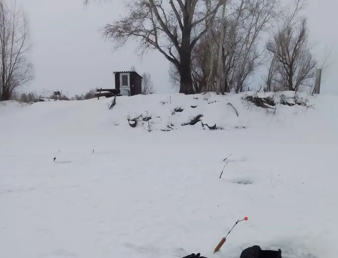 Фото базы Щукарь
